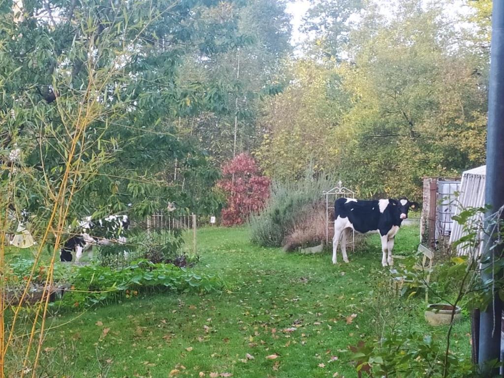 La Bruyere Du Coq Stables Guest House Sart-Dames-Avelines Eksteriør bilde
